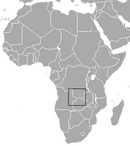 Endemic to Zambia