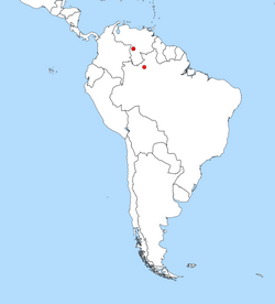 South America distribution Nannostomus Anduzei.png