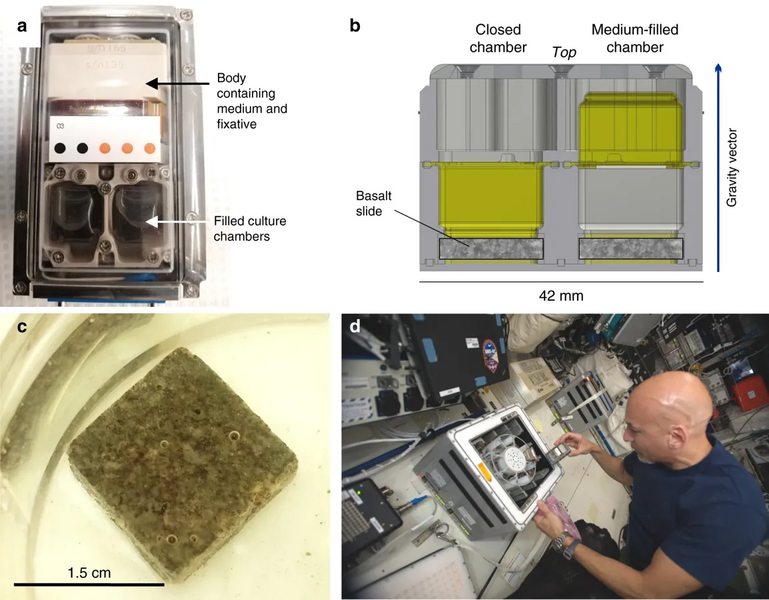 File:The BioRock Experimental Unit of the space station biomining experiment that demonstrated rare earth element extraction in microgravity and Mars gravity.webp