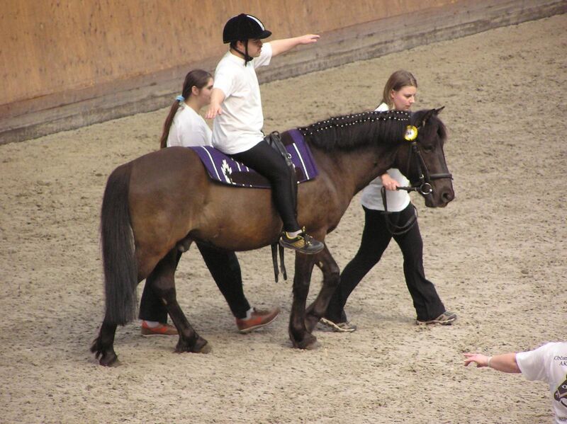 File:Therapeutic horseback riding 2.JPG