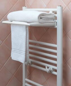 Towel rails radiator with hanger.jpg