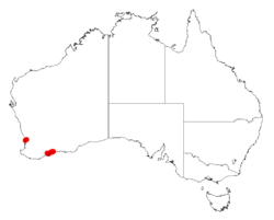 Acacia cedroidesDistMap172.png