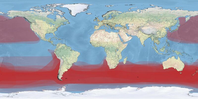 File:Albatross Density Map.jpg