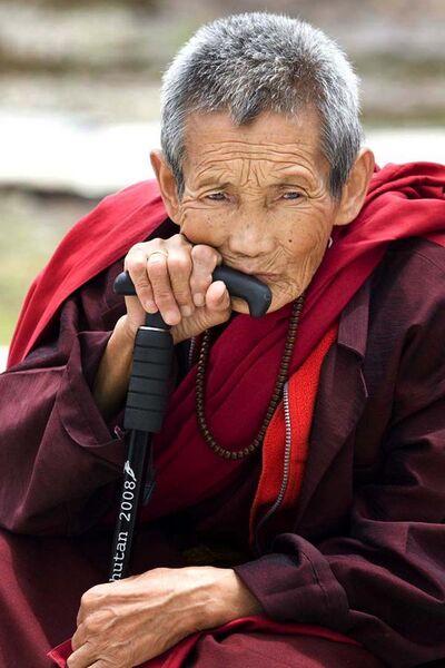 File:Bhutan - Flickr - babasteve (76).jpg