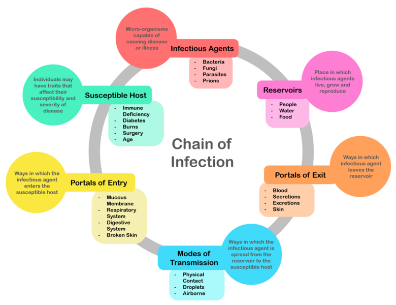 File:Chain of Infection.png