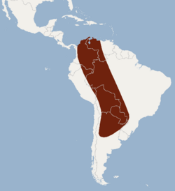Distribution of Eumops dabbenei.png