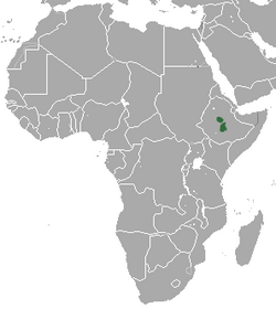 Ethiopian Highland Hare area.png