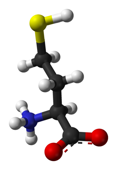 File:L-Homocysteine-3D-balls.png