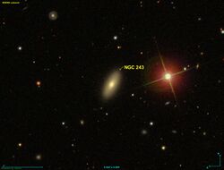 NGC 0243 SDSS.jpg