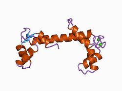 PDB 1ahr EBI.jpg