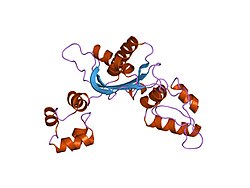 PDB 1rpl EBI.jpg