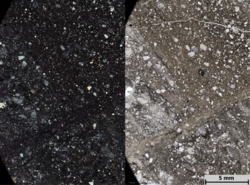Sheared Cataclasite in Thin Section.png