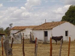 Typical houses in Sertão in northeastern Brazil