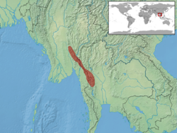 Cyrtodactylus feae distribution.png