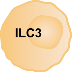 ILC Cell 1.png