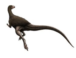Morrosaurus.jpg
