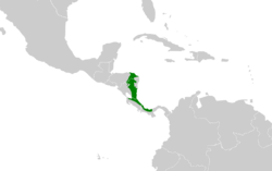 Piculus simplex map.svg