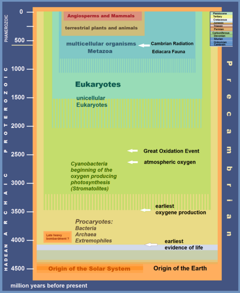 File:Precambrian Evolution of Life.png