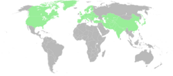 Range of Hieracium canadense-World.svg