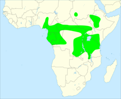 Scaly spurfowl distribution map.svg