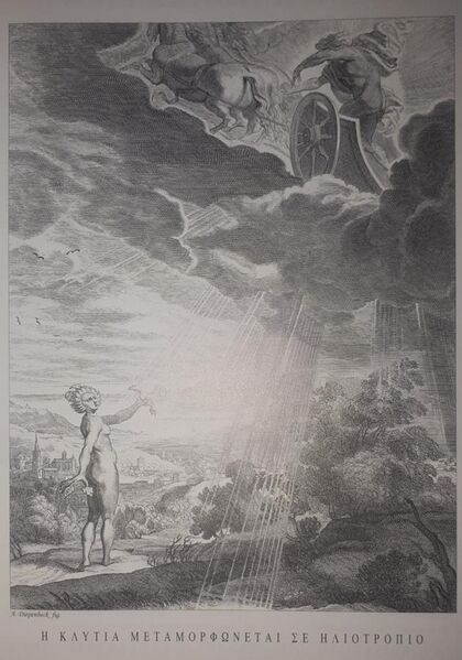 File:The nymph klytie transforming into a sunflower as the sun god drives his chariot above, engraving by abraham diepenbeeck for the metamorphoses book by ovid, in a greek language copy.jpg