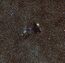 The star cluster NGC 6520 and the strangely shaped dark cloud Barnard 86.jpg