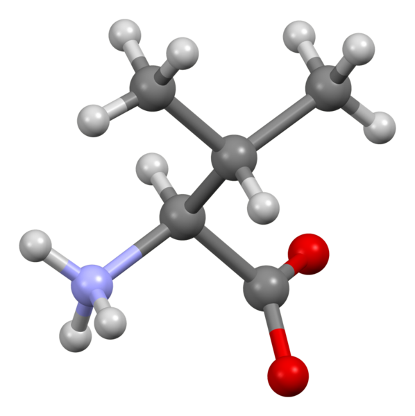 File:Valine-from-xtal-3D-bs-17.png