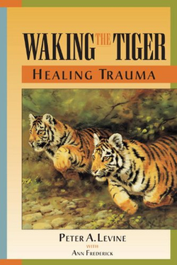 Waking the Tiger cover.png