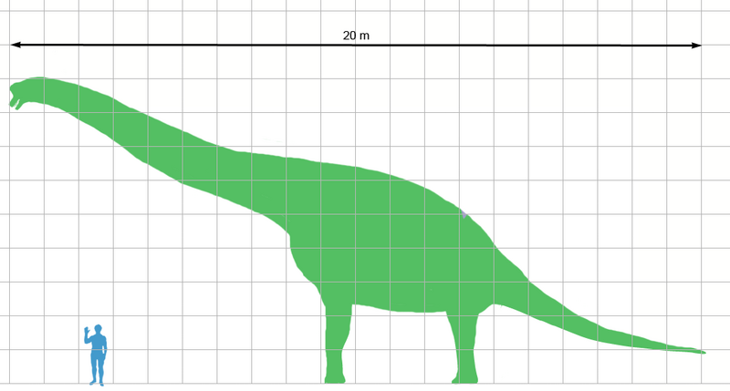 File:Giraffatitan scale.png