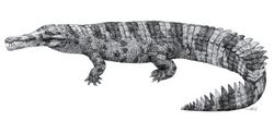 Hanyusuchus life reconstruction.jpg