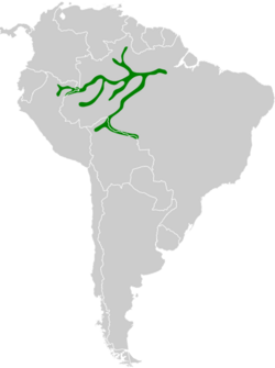 Myrmotherula assimilis map.svg