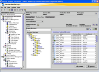 NetBackup Administration Console.png
