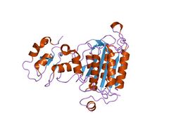 PDB 1nw9 EBI.jpg