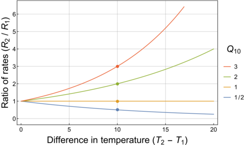 A plot of the temperature dependence of the rates of chemical reactions and various biological processes, for several different Q10 temperature coefficients.