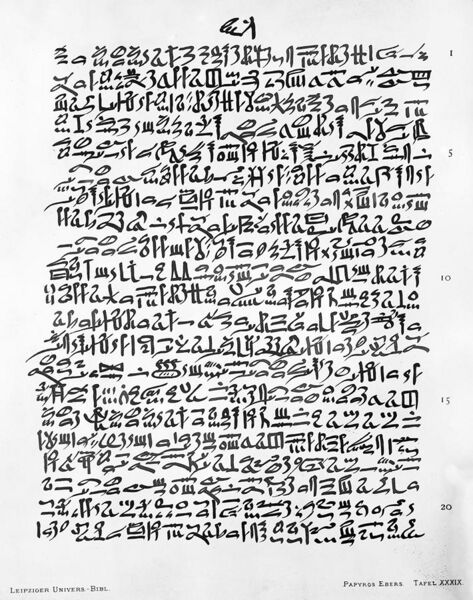 File:A page from the Ebers Papyrus, written circa 1500 B.C. Wellcome M0008455.jpg