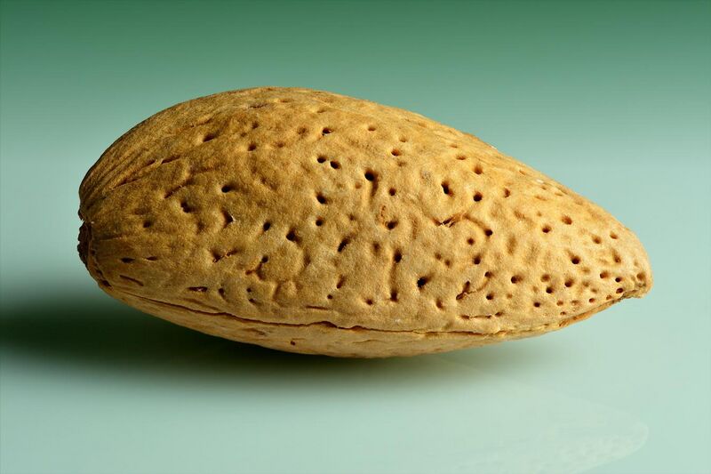 File:Almond shell.jpg
