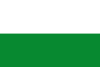 Flag of Esmeraldas