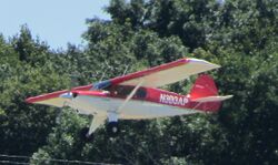 Bearhawk in flight.jpg