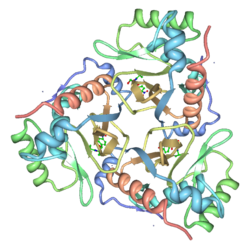 Chloramphenicol acetyltransferase 3CLA transparent.png