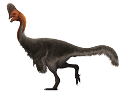Corythoraptor Restoration.png