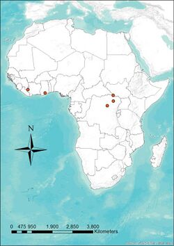 Distribution map of Niumbaha superba - ZooKeys-285-089-g007.jpeg