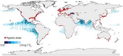 Global areas of hypoxia.jpg