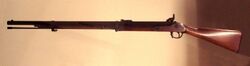 Japanese Minie rifle(Mirror).jpg