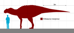 Kritosaurus Scale.svg