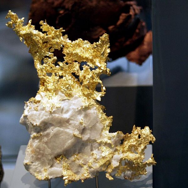 File:Naturkundemuseum Berlin - Gediegen Gold in Quarz, Eagles Nest Mine, Placer County, Kalifornien, USA.jpg