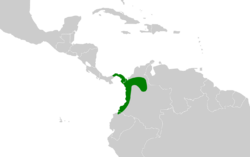 Notharchus pectoralis map.svg