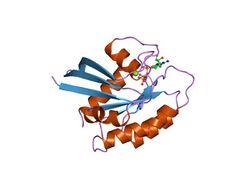 PDB 5p21 EBI.jpg