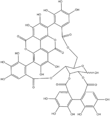 Chemical structure of punicalagin