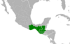 Symphyotrichum bimater distribution map: Guatemala; Mexico — Chiapas and Oaxaca.