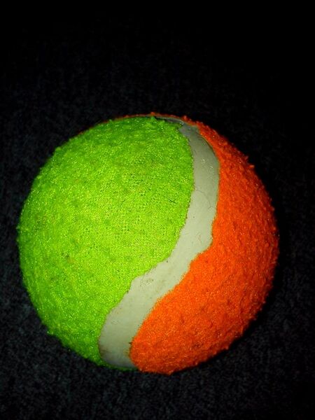 File:Tennis Ball.jpg